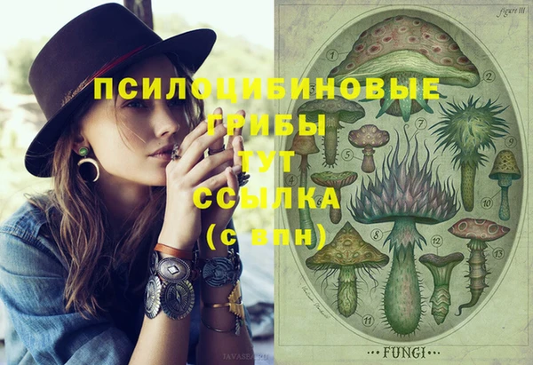 первитин Покачи