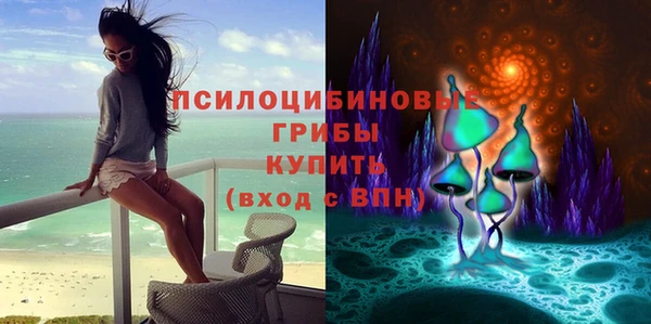 первитин Покачи