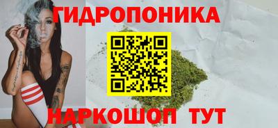 PSILOCYBIN Кунгур